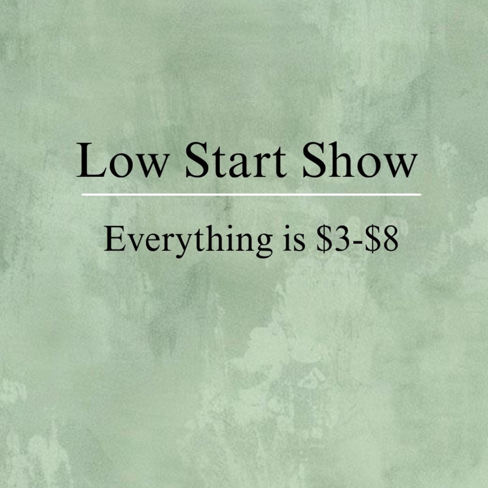 Live Show Flyer - Low Start Shows